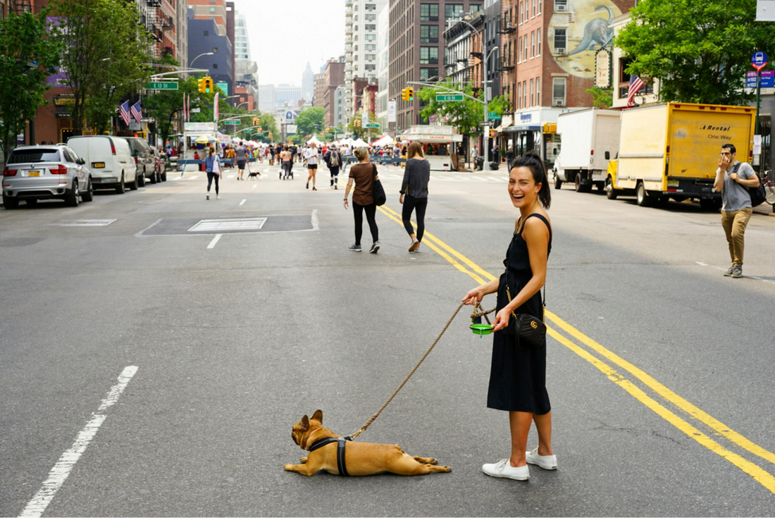 8 Best Dog Friendly Restaurants In New York City