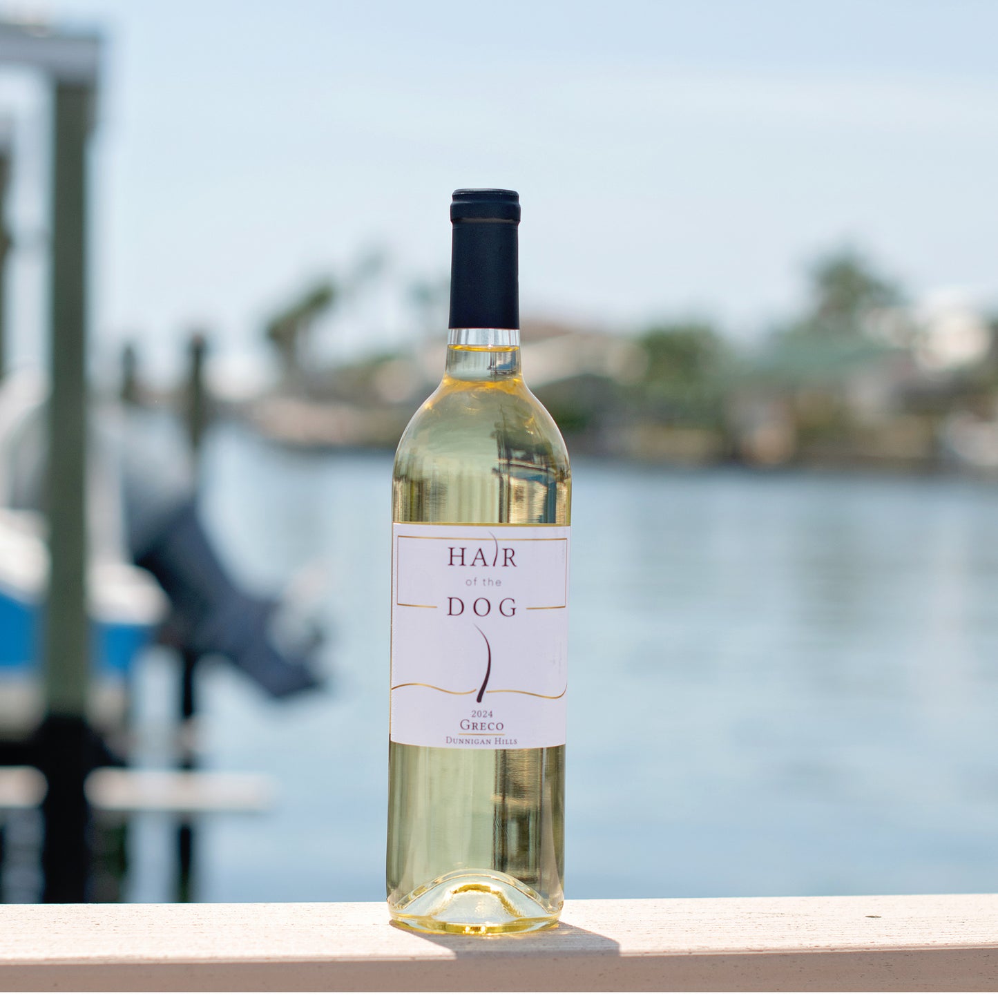 Hair of the Dog Wines, 2024 Greco