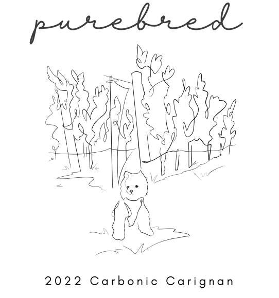 PUREBRED 2022 Carignan – Chillable Red Wine