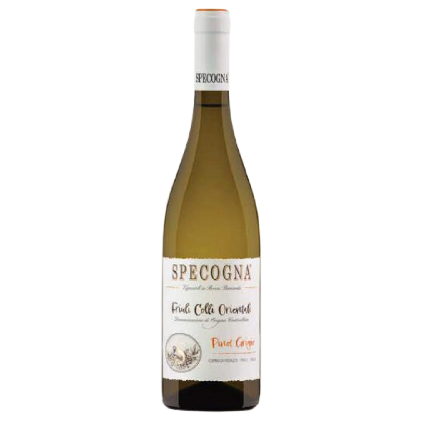Specogna, 2021 Pinot Grigio Ramato