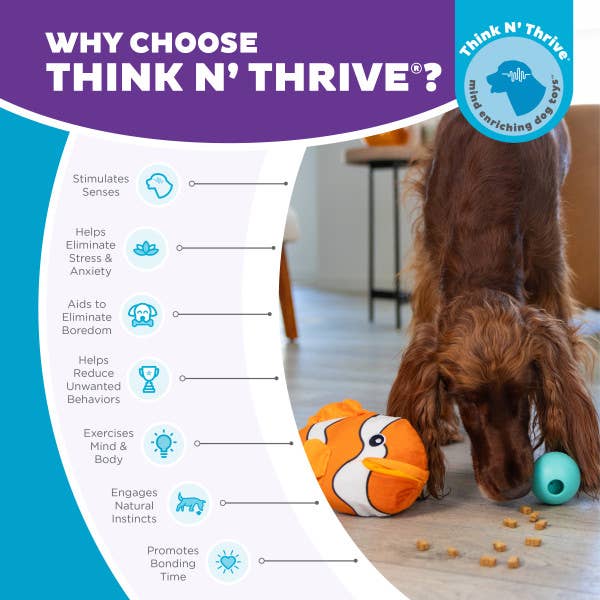 Big Mouthz Clown Fish Dog Puzzle Toy