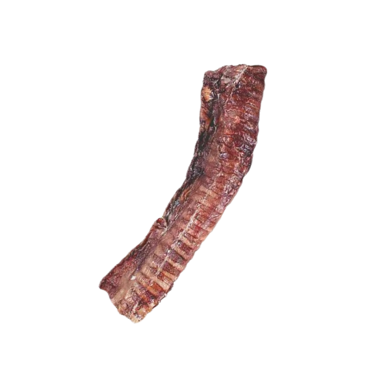 Beef Trachea 3-4"