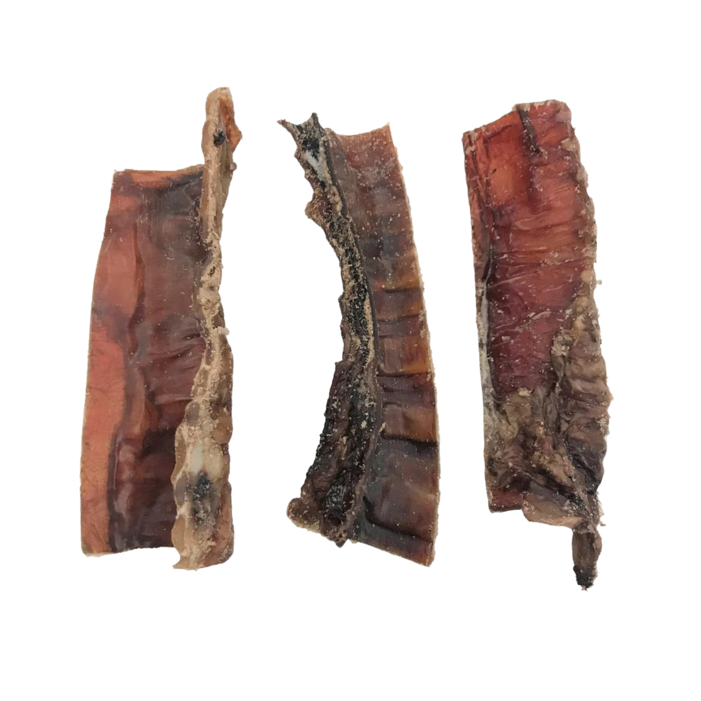 Bison Trachea 4"-6"