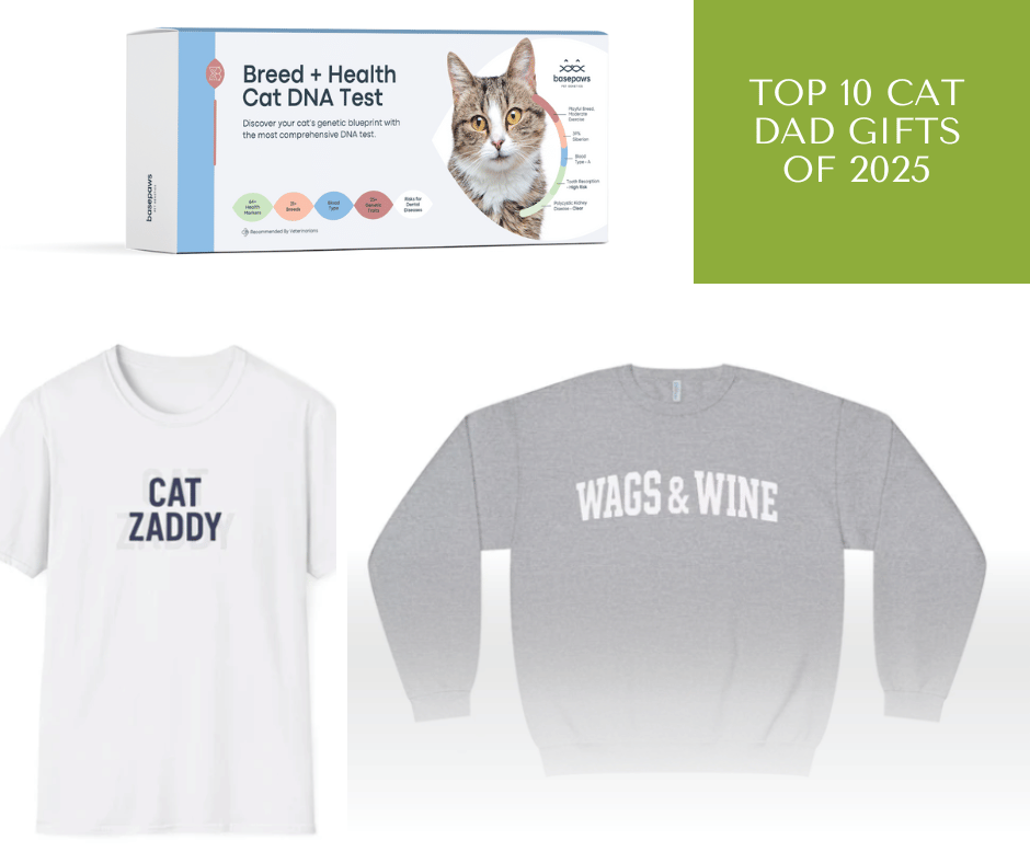 Top cat dad gifts