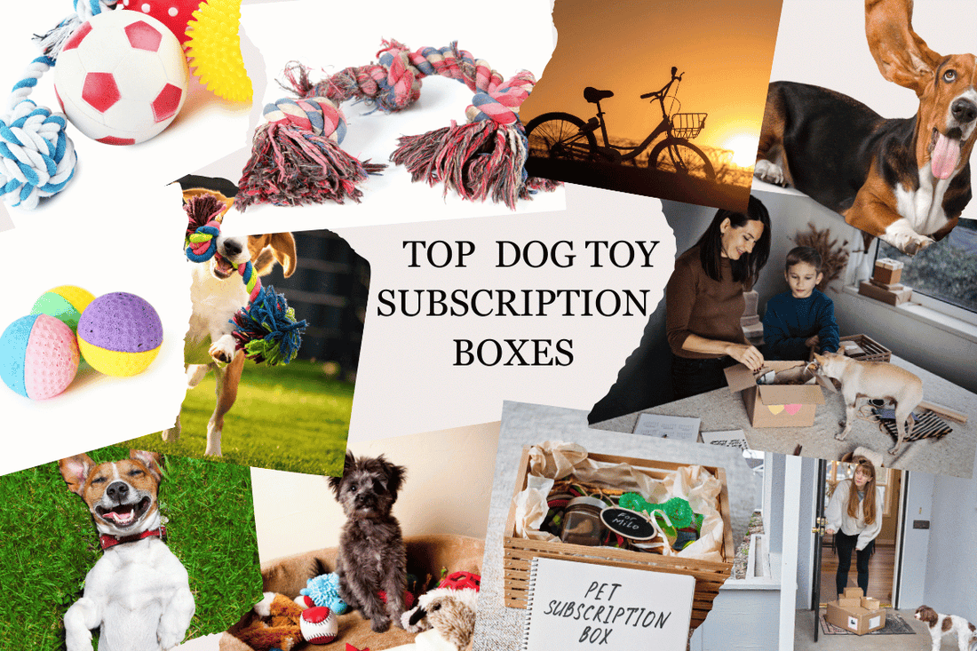 Dog toy subscription boxes Banner