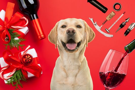 Best Gifts for Wine and Dog Lovers in 2025