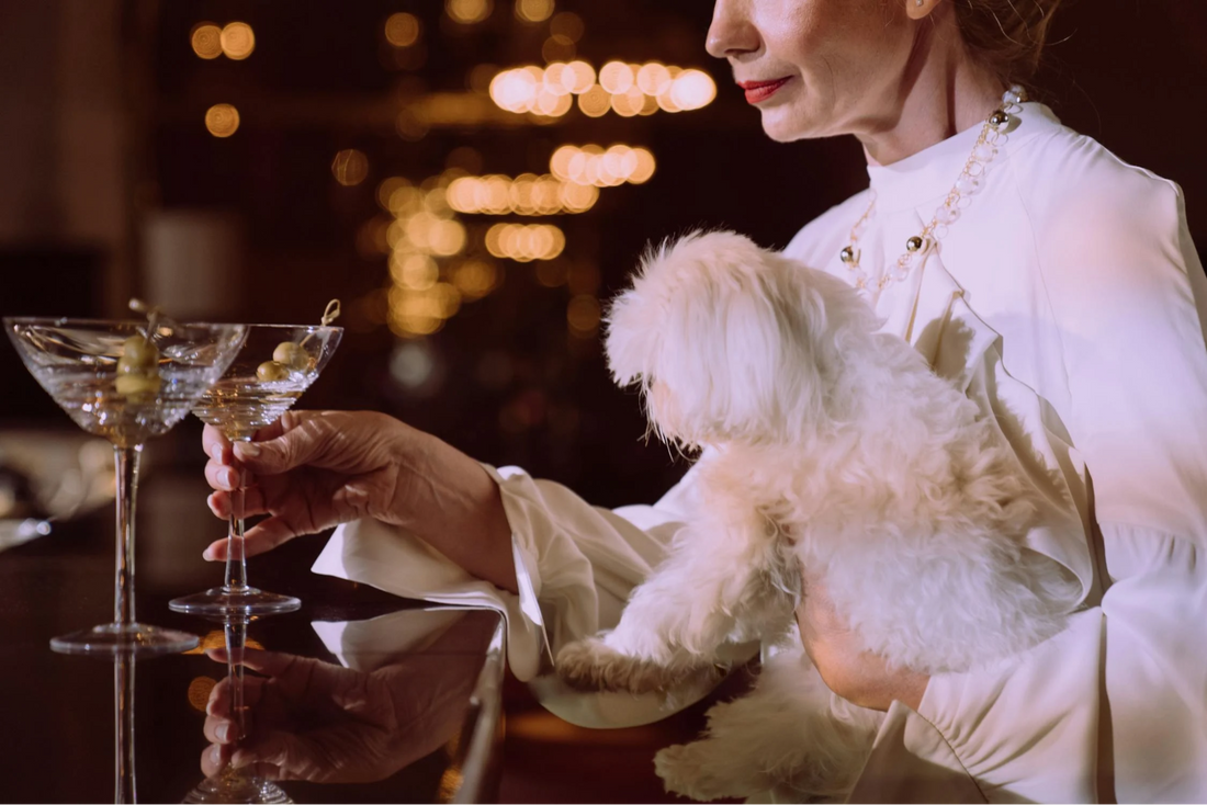 Best Dog Friendly Wineries in the US