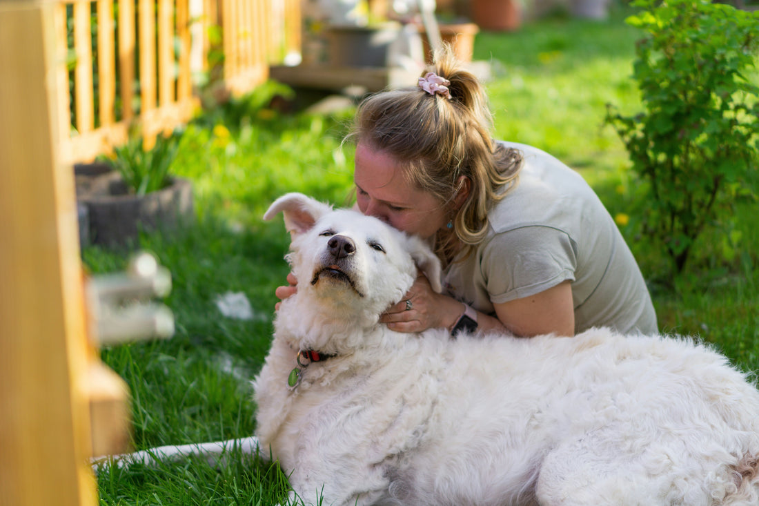 National Mom Dog Day