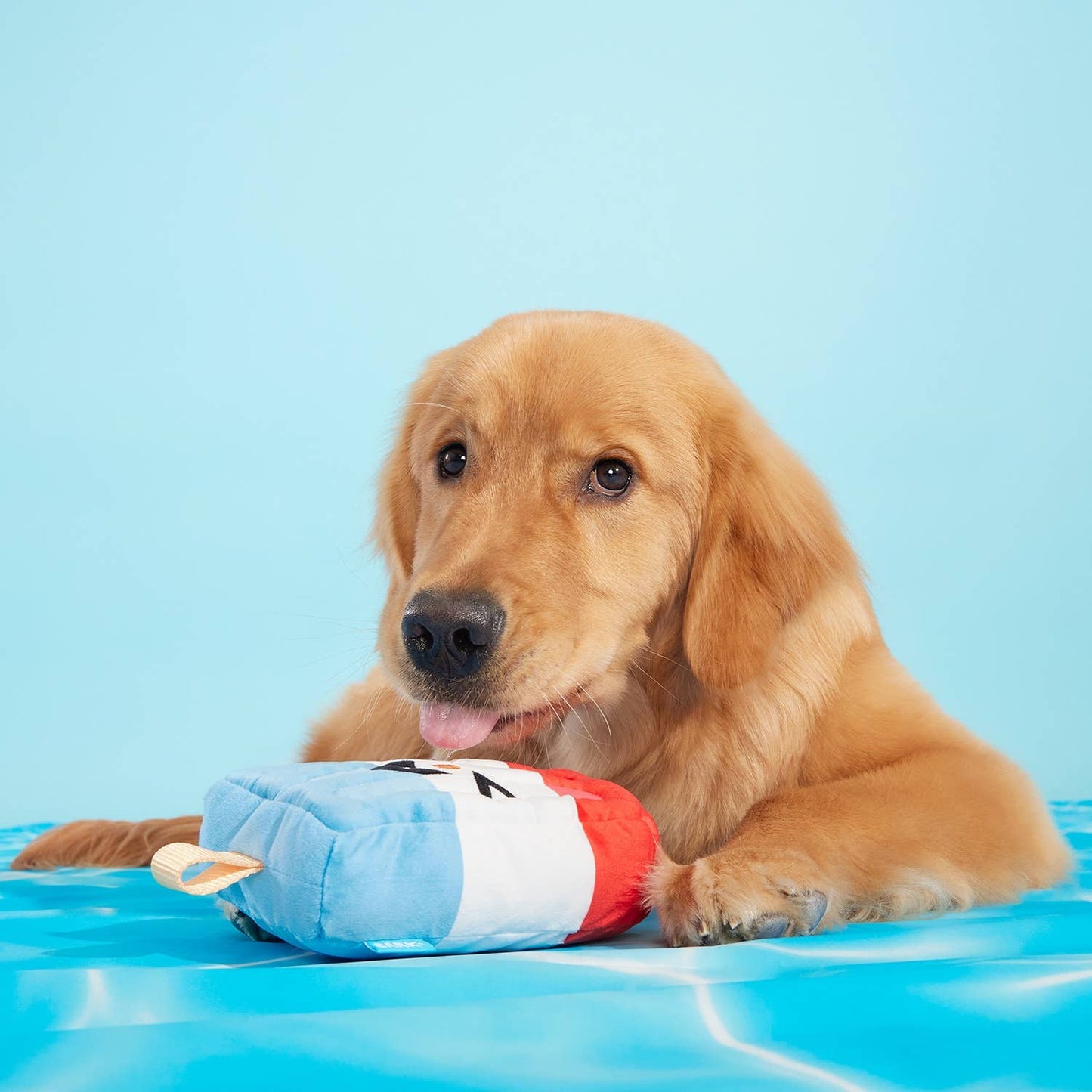 BARK Rocket Droolsicle Fourth Of July Plush Dog Toy