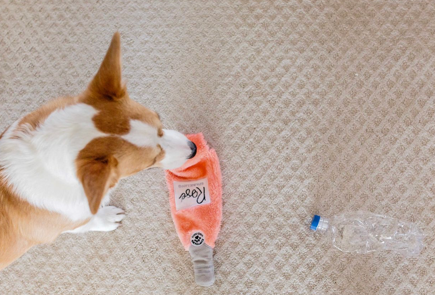Happy Hour Crusherz Rosé Dog Toy 10"