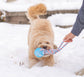 Knotted Tug Rope Dog Toy with TPR Spike Ball