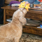 ThoozyPet Sun Plush Dog Toy 8"