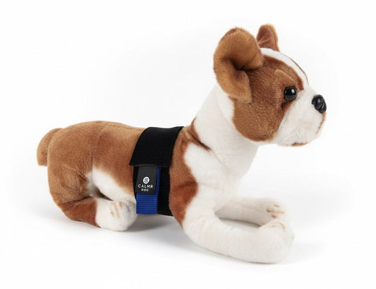 Calmr Dog Anxiety Settle Strap