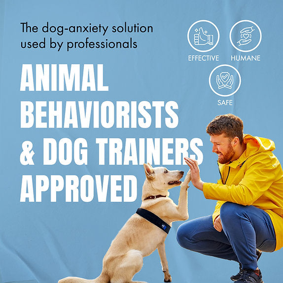 Calmr Dog Anxiety Settle Strap