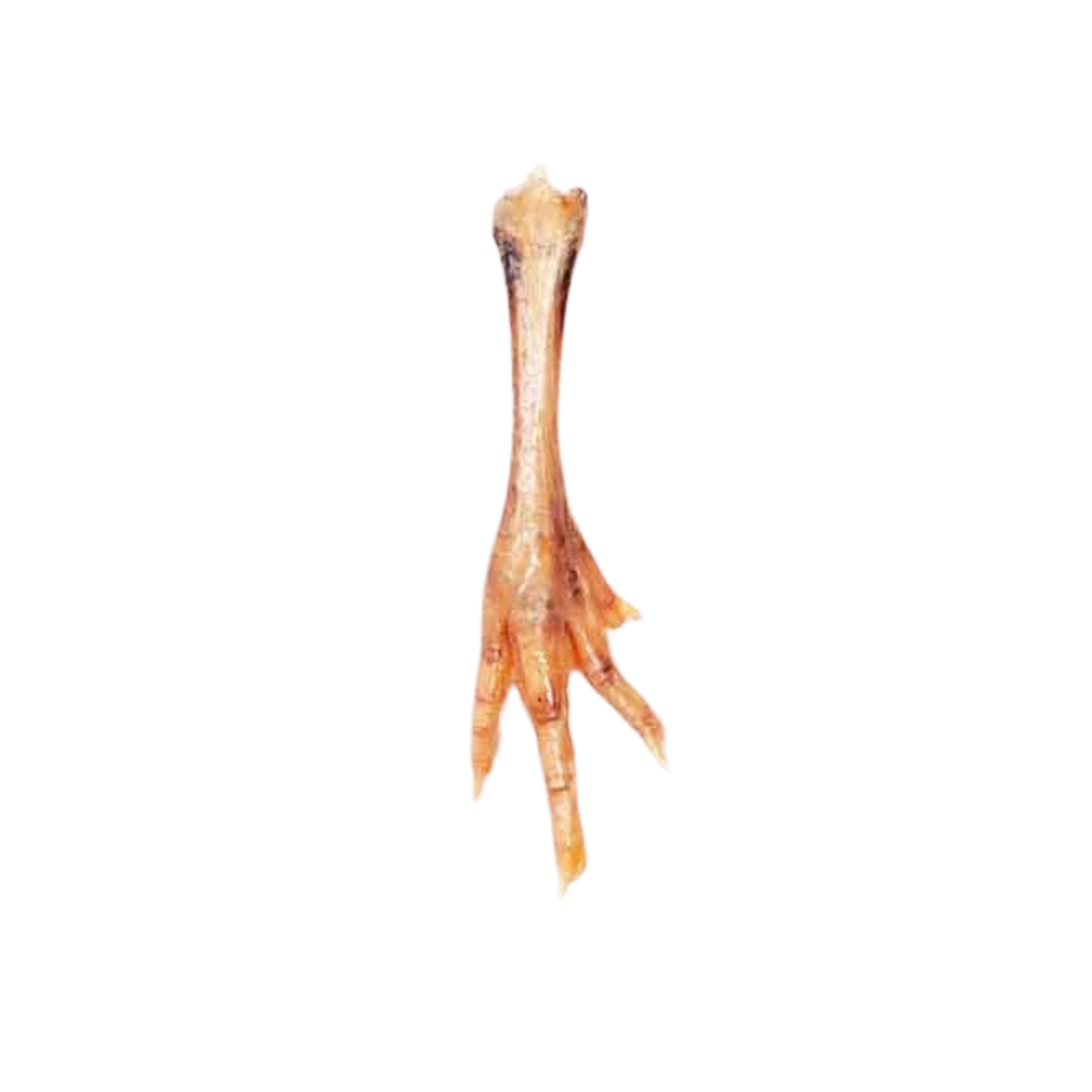 Chicken Foot 3-4