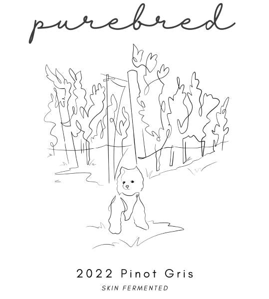 PUREBRED by Hair of the Dog Wines, 2022 Pinot Gris (Skin Fermented)