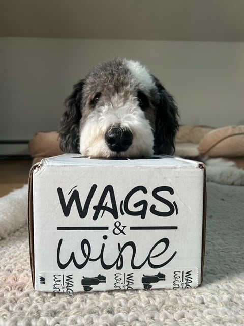 Dog with wags and wine box