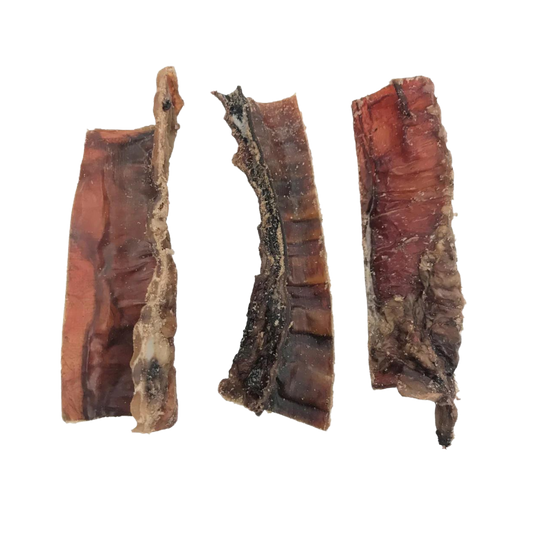 Bison Trachea 4"-6"